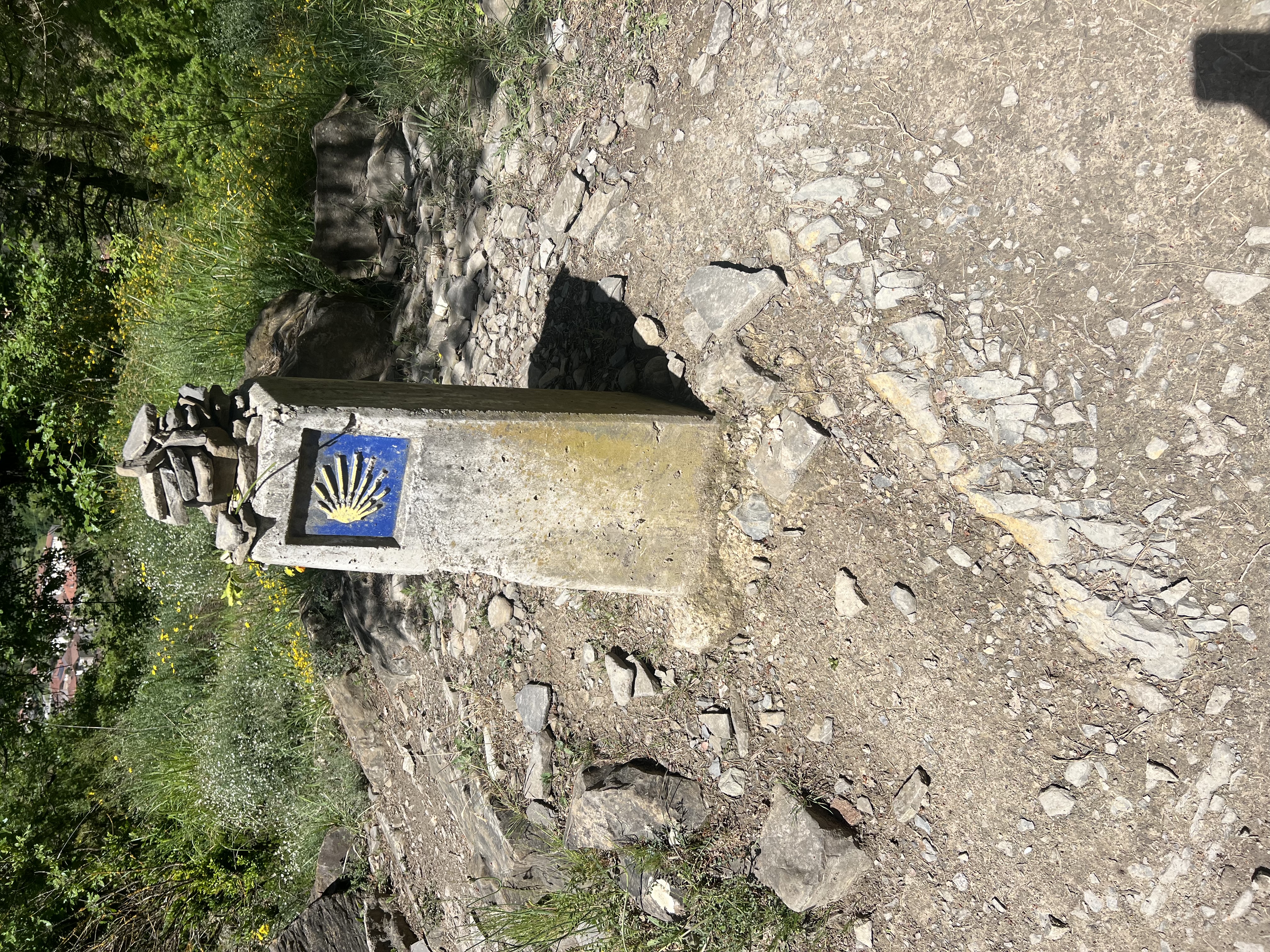 Cammino di Santiago
